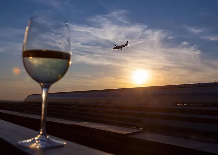 Frankfurt Airport Marriott 酒店 5*